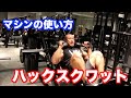 【足トレ】マシンの使い方 ハックスクワット