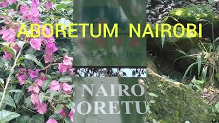 Aboretum Nairobi 🇰🇪 Beautiful Nature Trail #nature #beautiful #tourism #kenya