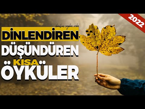 HİKÂYELER (20.Bölüm )| İbrahim Soydan Erden