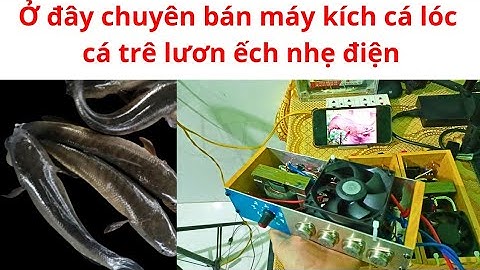 Zalo #0374021863 - "Máy kích cá" nhỏ gọn lóc trê lươn ếch rô phi nhẹ điện