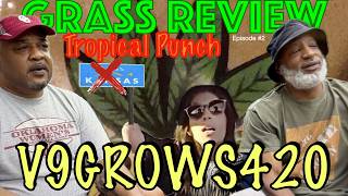 V9GROWS420. Episode two. Kansas is out. Why push 1 arm lady on me? Hard 2 get Stars in Grass Review.