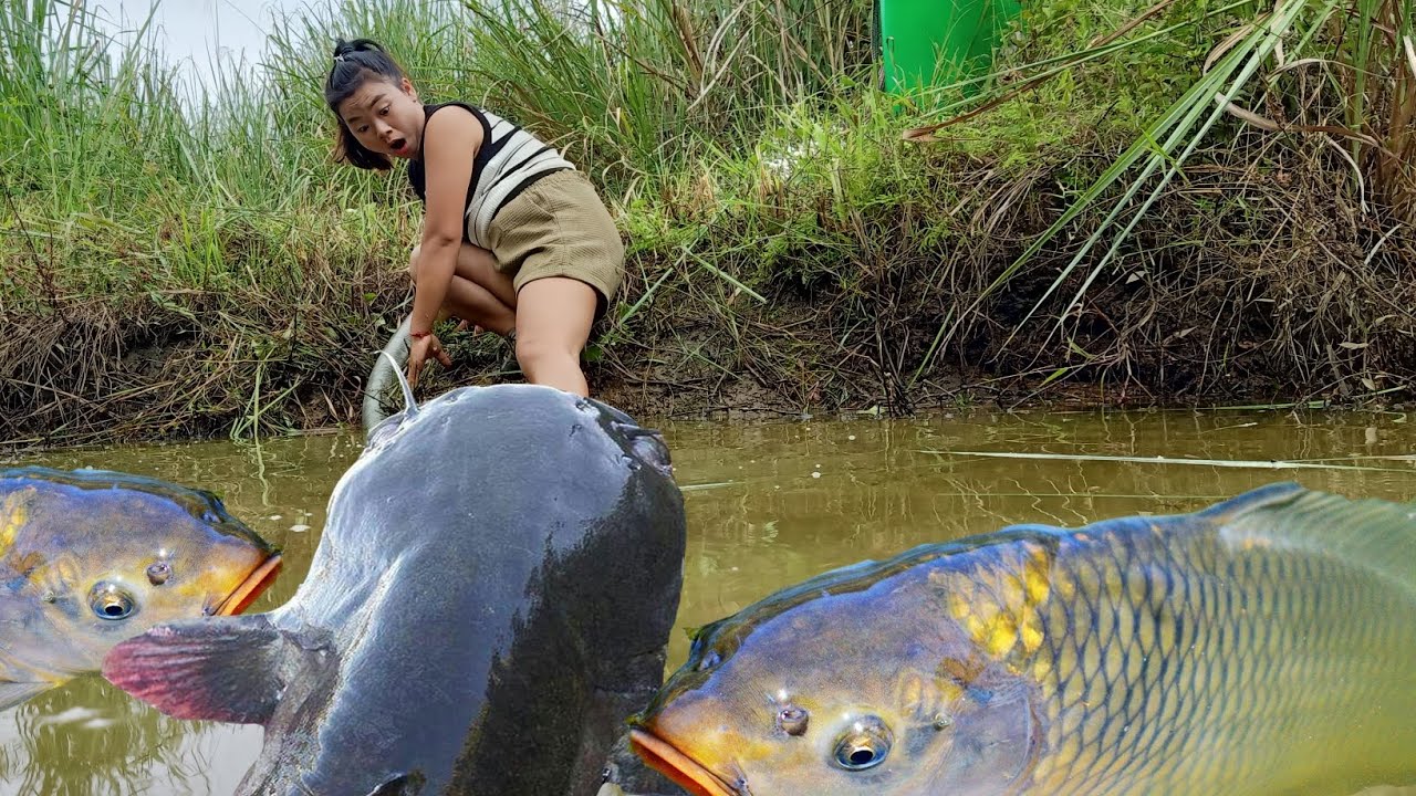 One lucky day,I used a pump to drain the water and caught a bunch of ...