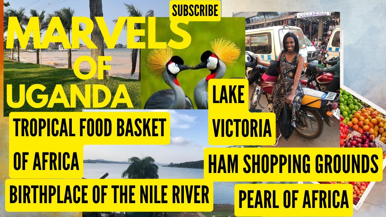 WELCOME TO UGANDA: SAFARI, SMILES & WONDER | THE PEARL OF AFRICA🇺🇬