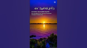سورة العاديات بصوت خاشع #اكسبلور #القرآن_الكريم #quran