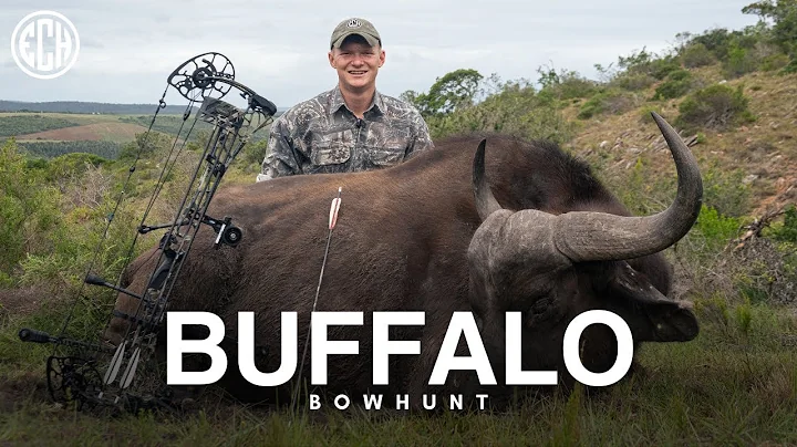 I SHOT A BUFFALO WITH A BOW (Hunting in Africa)