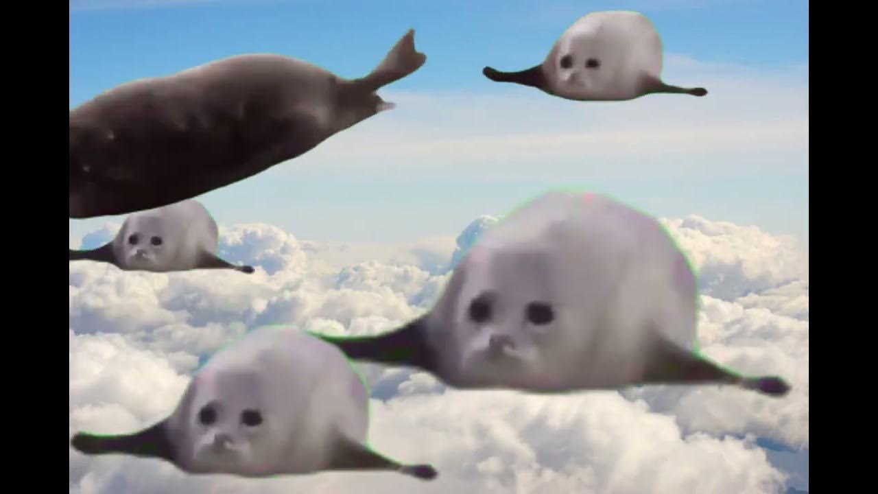 Bouncing Seals Meme ( i think its my first time working with green