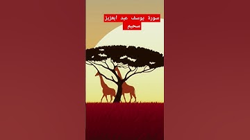 سورة يوسف بصوت القارئ عبد العزيز سحيم  #سورة_يوسف #عبدالعزيز_سحيم #تلاوة_خاشعة #القرآن_الكريم