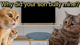 A cat gets bullied