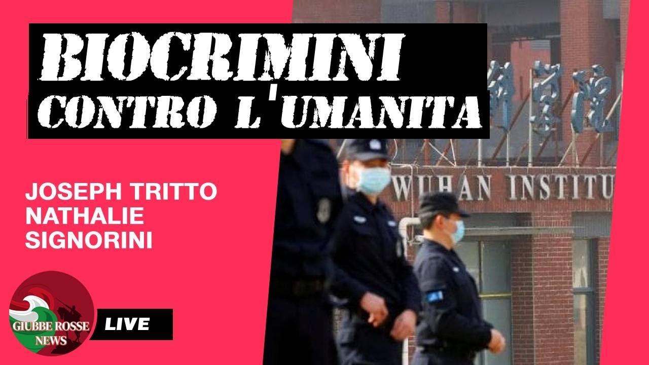 Tritto BIOCRIMINI CONTRO L'UMANITÀ. INTERVISTA AL PROF. JOSEPH TRITTO - YouTube