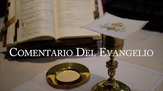 Comentario del Evangelio XVII Domingo de Tiempo Ordinario. Jornada Mundial Personas Mayores |27.07
