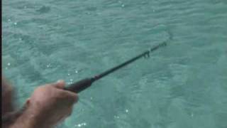 Live Fishing With Halco Lure