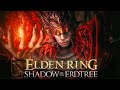 Getting Revenge on Every DLC Boss in Elden Ring