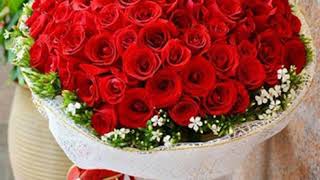 Bui Lam Lam Lam Bui Lam 294769