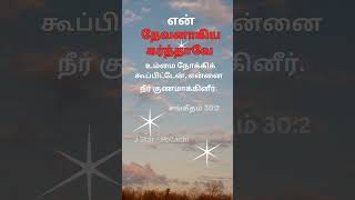தினசரி புனித வார்த்தைகள் ( Daily Holy Words)