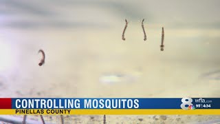 Pinellas County Spraying for Mosquitoes