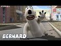 Медведь Бернард | Скейтбординг и многое другое | Мультфильмы для детей | Полные эпизоды