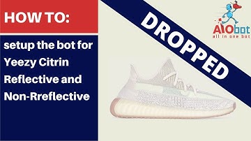 AIO Bot V2 - How to setup the bot for Adidas Yeezy Boost 350 V2 