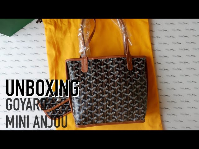 GOYARD ANJOU MINI REVIEW  WEAR AND TEAR #goyard #minianjou #anjoumini 