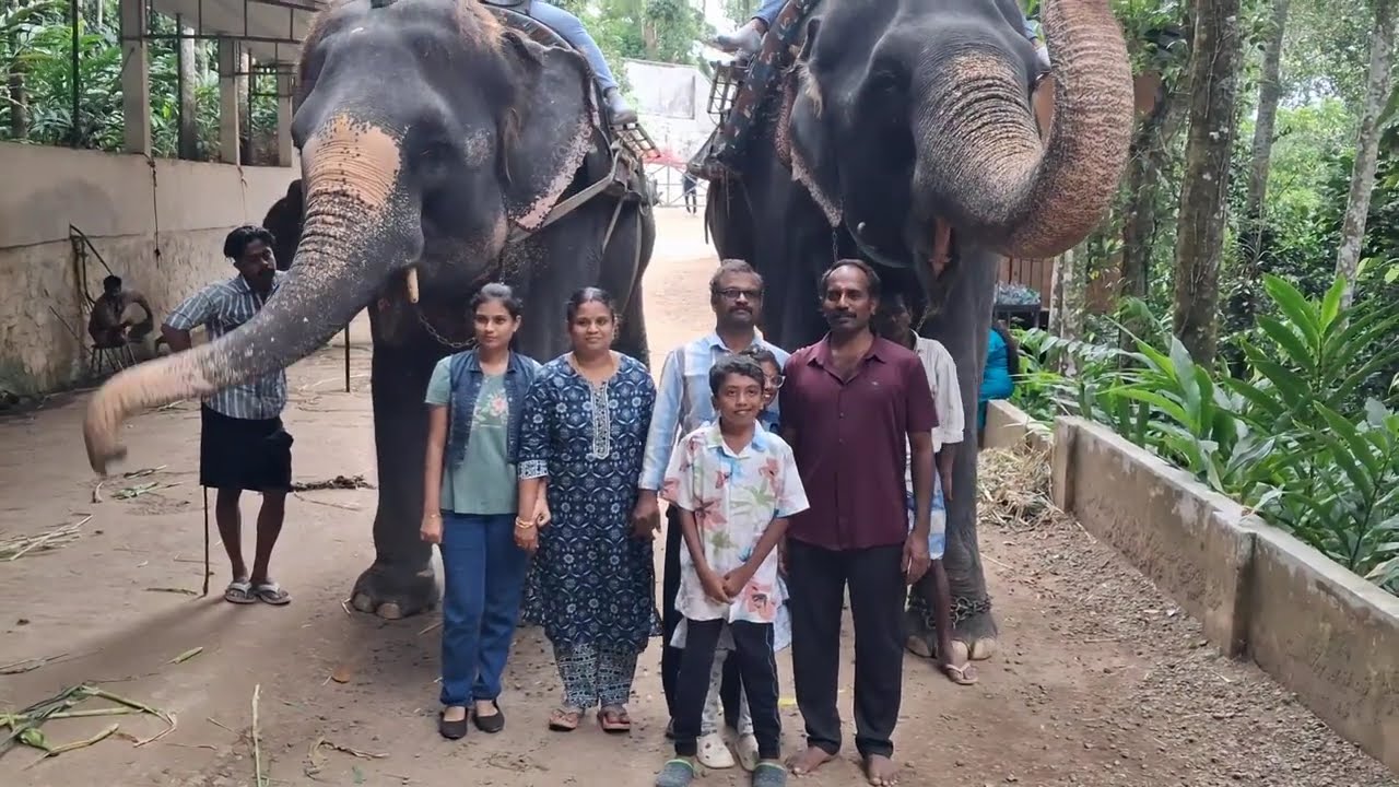 Elephant Junction Thekkady | Private Elephant ride Center | Kerala tourist Places | Elephant Feed 2