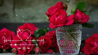 Beautiful Flowers Call Tone 2021 || Call Ringtones Download Free By Digi Ringtones