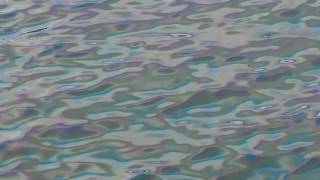 1060823澳底漁港漁船油汙染海港