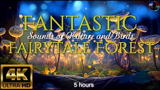 4K Fantastic Fairytale Forest 🌿 Relaxation, Sounds of Nature and Birds / 5 hours