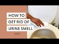 HOW TO GET RID OF URINE SMELL