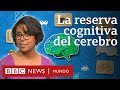 Qué es la reserva cognitiva y por qué debemos fortalecerla para proteger nuestro cerebro | BBC Mundo
