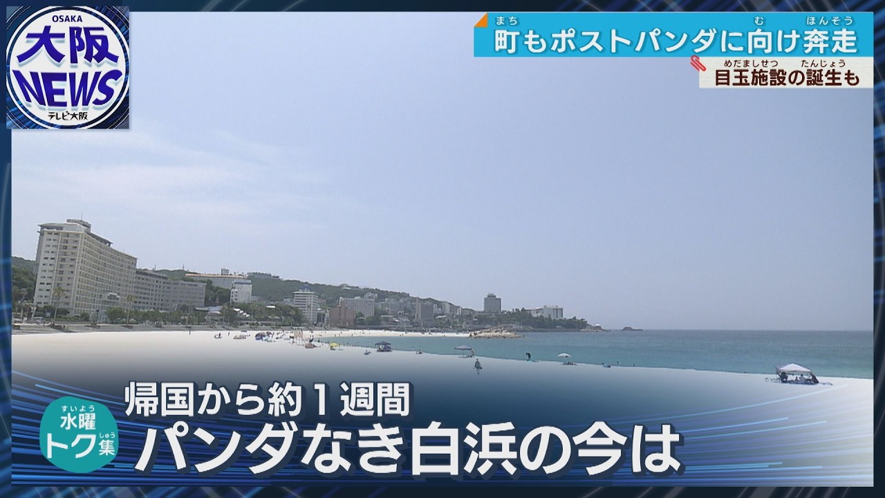 【パンダか脱パンダか】ロスに揺れる白浜…温泉再推し・初のビーチハウス設置で新たな需要取り込めるか