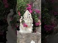 #food#telugu#china#video#new#mamatabanerjee#channel#tiktok#new#kannada#krishna#trending#roast#dance