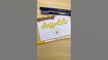 Daffodils #moderncalligraphy #lettering #calligraphy #satisfying #brushmarkers #handwriting