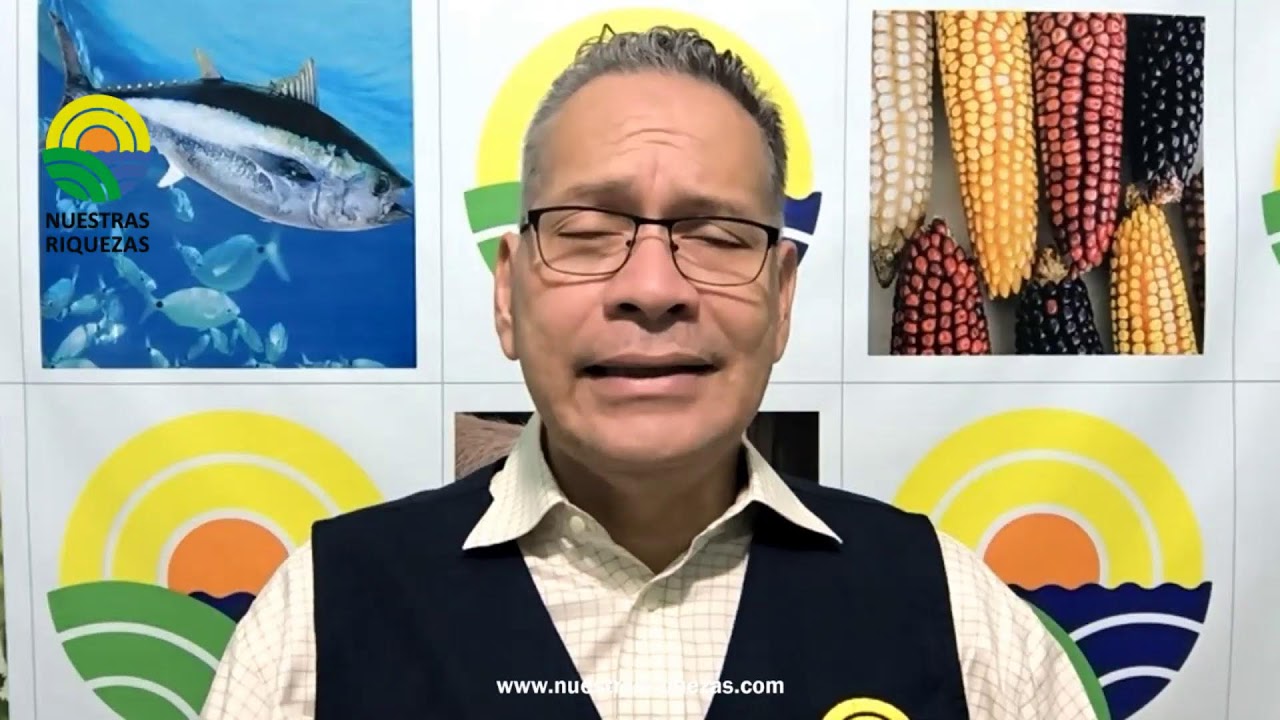 Nuestras Riquezas, Viernes 9 de enero de 2026