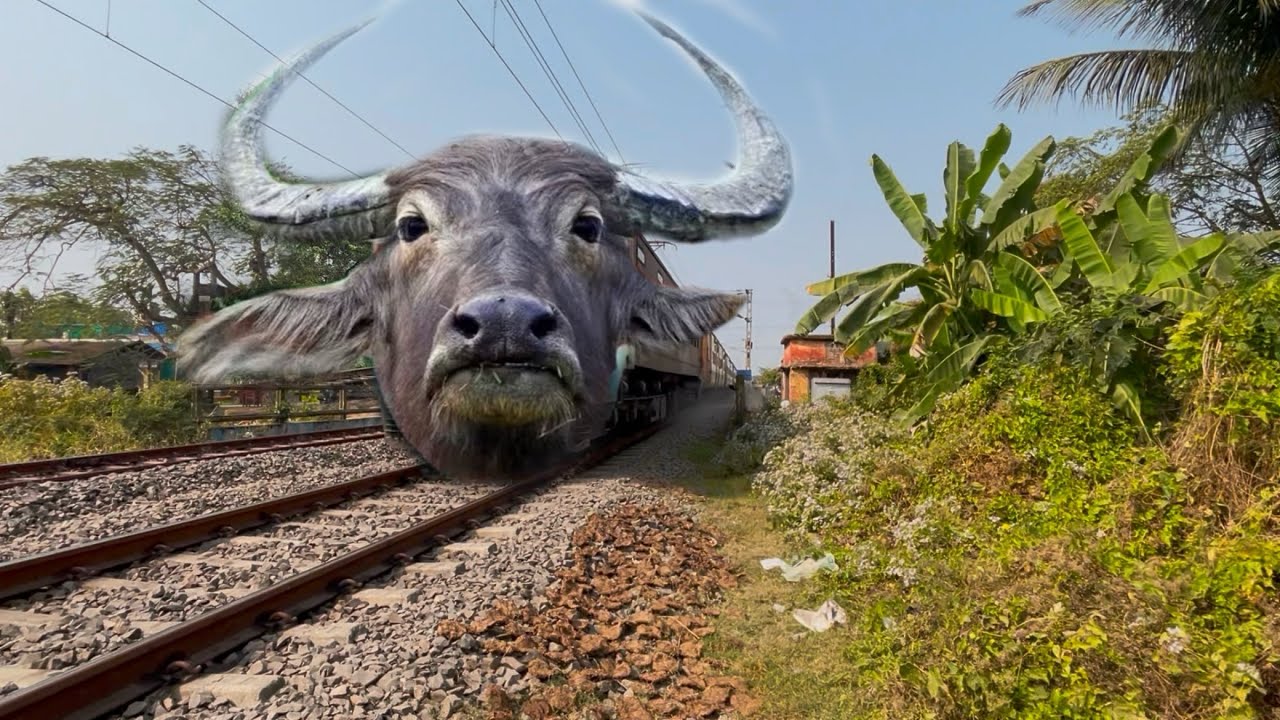 Dangerous Buffalo Headed Intercity Express Furious Crossing Throughout at Railgate 