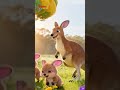 Little Kangaroo Song | English Nursery Rhymes for Children's | Galatta Kids | Animal song | Shorts