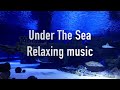 Under The Sea Magnifique Musique relaxante libre de droit