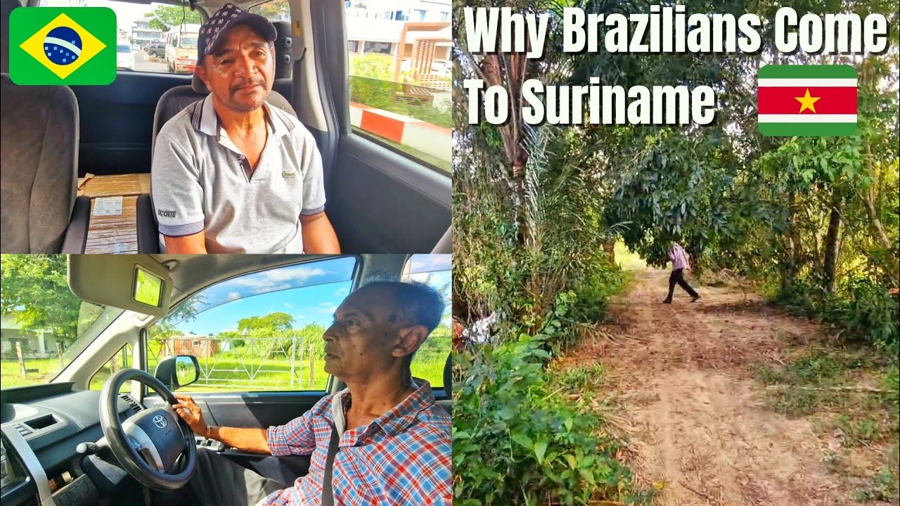 Brazilians Mining for Gold in Suriname's Jungles 🇸🇷