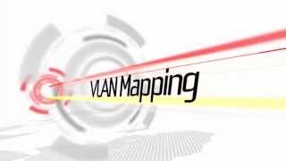 VLAN Tagging (VLAN Mapping) LigoDLB