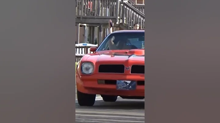 Pontiac Trans Am #cars #classiccars #musclecars #classic #shorts #short #shortvideo #car #viral