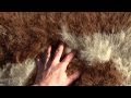 How To Make Your Own Un-Bleached Sheep or Goat Skin Rug