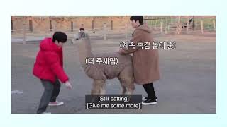 Kim Junkyu TREASURE saying Kaja 가자 or Let’s Go for a Minute Straight