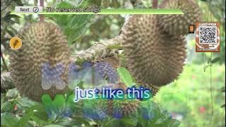 Something Just Like This by The Chainsmokers & Coldplay Karaoke TJ Supremo (Minus One/Instrumental)