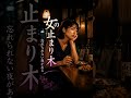 『女の止まり木』