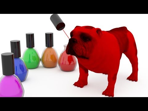 learn-colors-with-dogs-xylophone,-lipstick,-nail-polish-toys-|-learning-colors-for-kids-and-babies