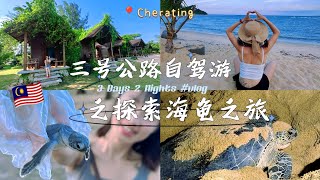 🇲🇾 3号公路自驾游之带娃探索海龟之旅｜3天2夜 #vlog｜无敌海景沙滩小木屋 #cherating #turtles #summerholiday #cuticutimalaysia｜Jun'23