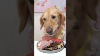 Cute dog eating muckbang #asmr #dog #foodlover #cute dog
