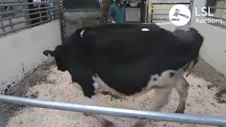 Kilmallock Lot 702 25-01-2021 Kilmallock Lot 702 25-01-2021