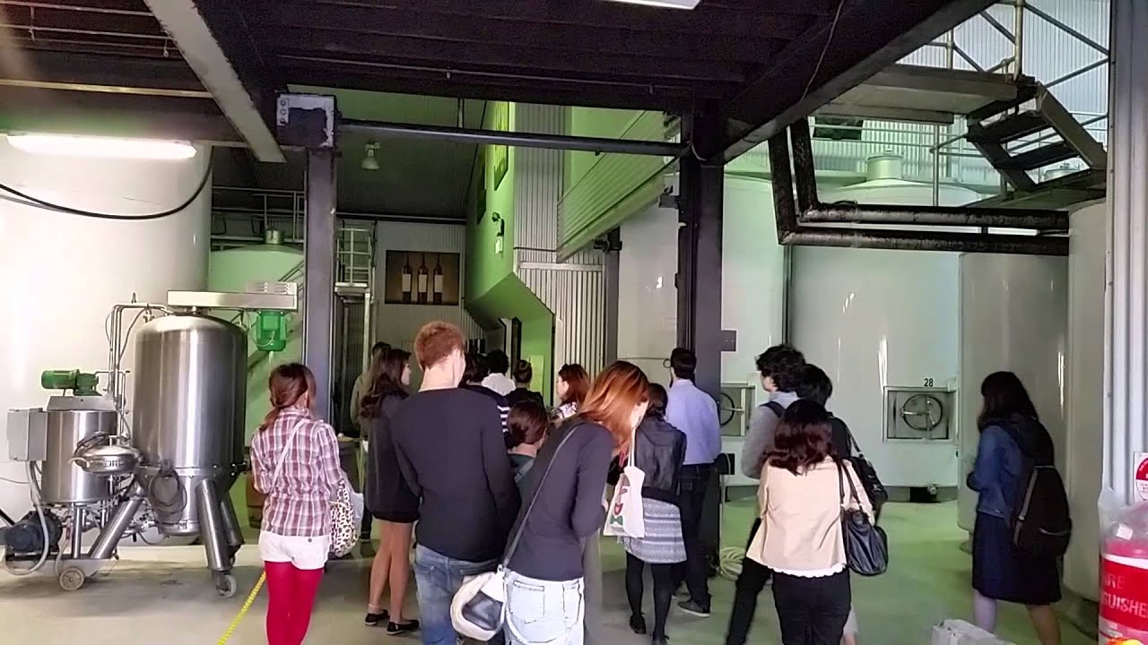 Wine Tours & Wine Tasting at  Hunter Valley in NSW