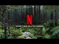 Deadly Forests, Wild Animals & An Unforgettable Adventure! | Ranveer Vs Wild | Netflix India