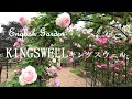 イングリッシュガーデン  キングスウェル  [4K] English Garden KINGSWELL