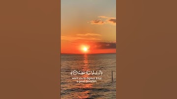 سوره النساء القارئ احمد النفيس